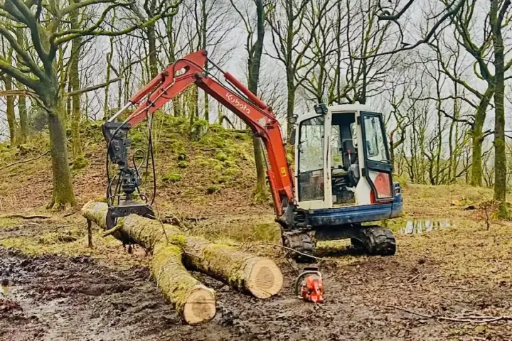 Tree Work — JET Landscapes, Cartmel